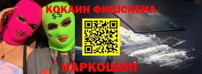 крисы Гатчина