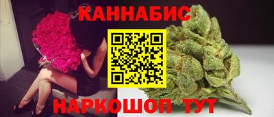 крисы Гатчина