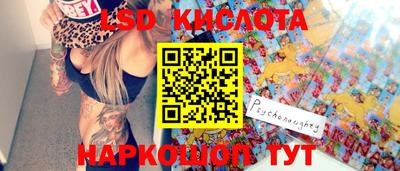 крисы Гатчина