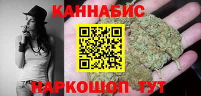крисы Гатчина