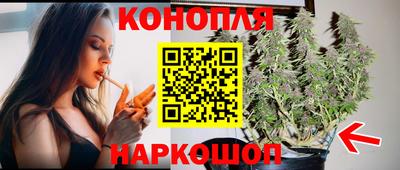 крисы Гатчина
